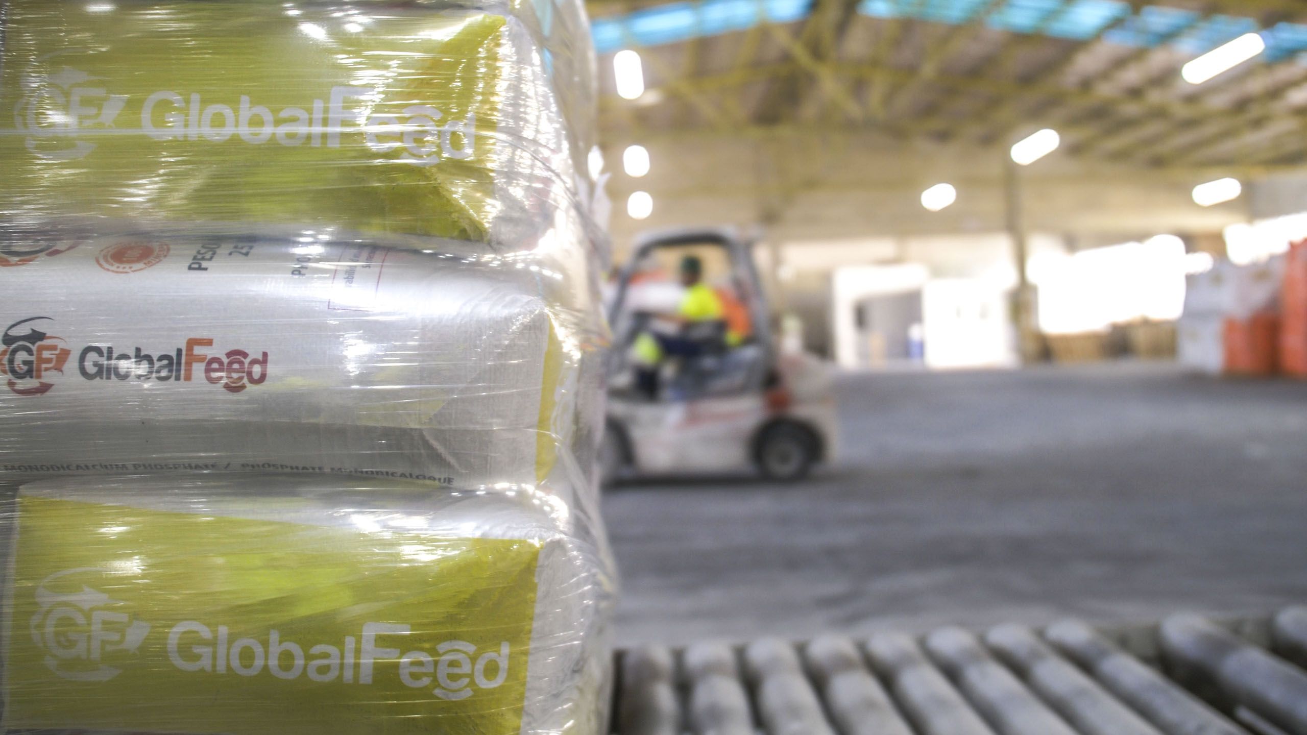 Glofalfeed expedición